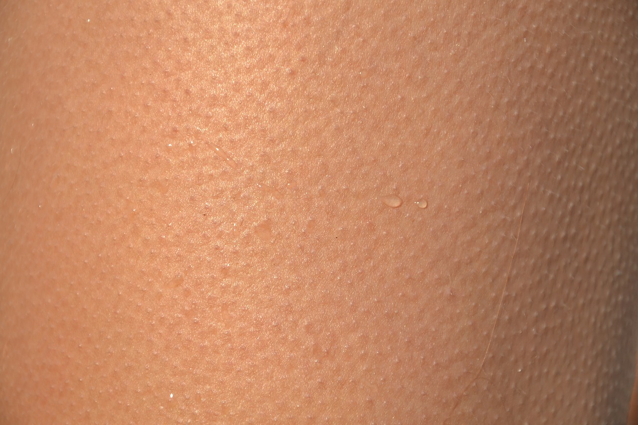 skin-418266_1280.jpg