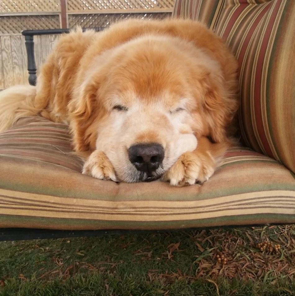 sleepie.jpg