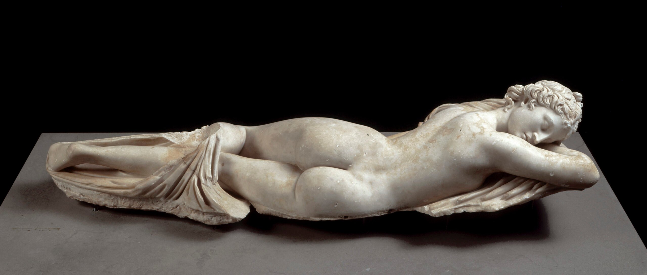 sleeping-hermaphrodite.jpg sleeping-hermaphrodite.jpg