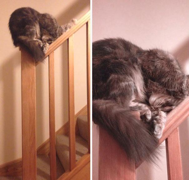 sleepy-kit-10.jpg