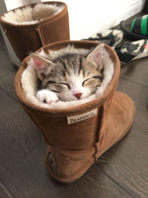 sleepy-kit-13.jpg