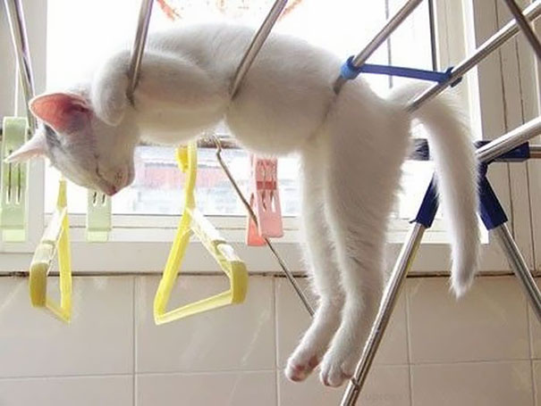 sleepy-kit-14.jpg