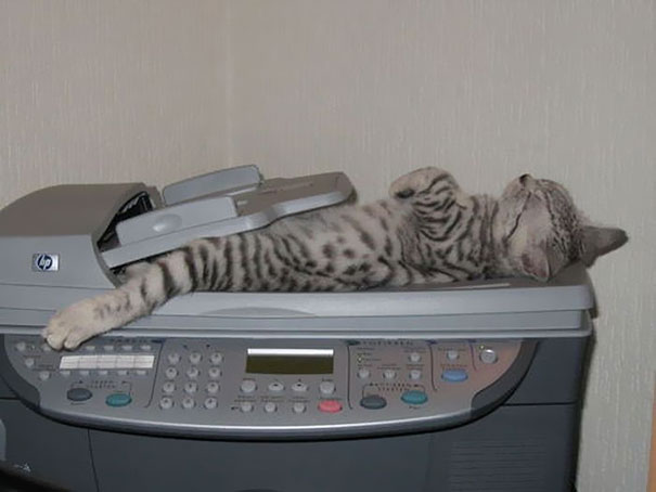 sleepy-kit-15.jpg