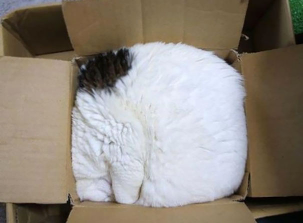 sleepy-kit-3.jpg