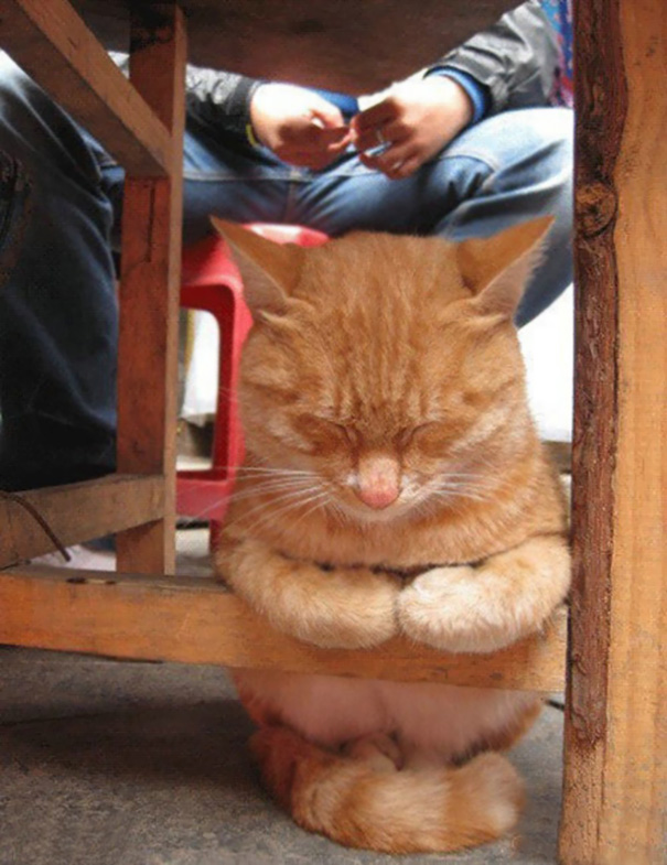 sleepy-kit-4.jpg