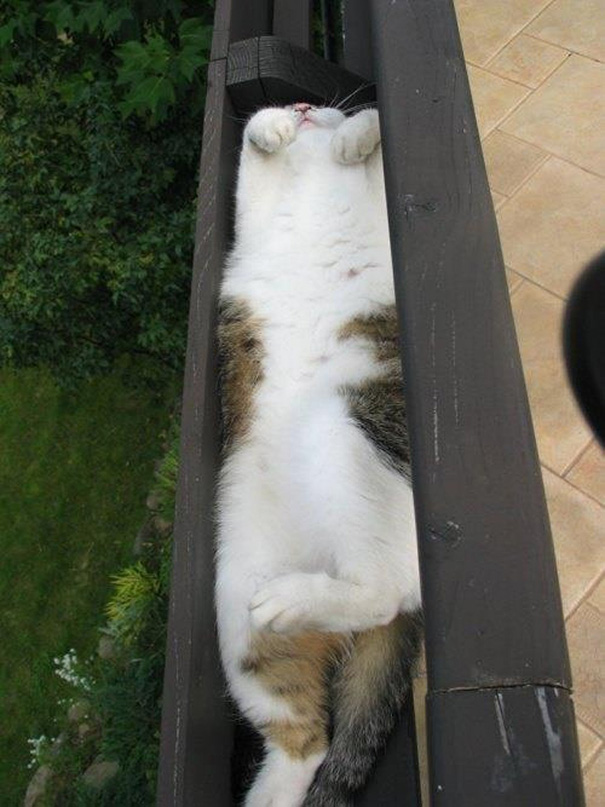 sleepy-kit-5.jpg