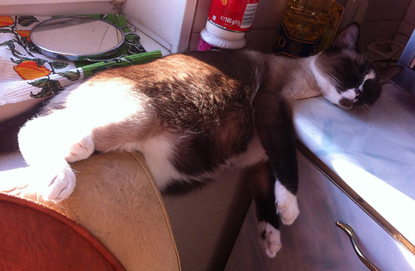 sleepy-kit-7.jpg