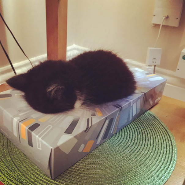 sleepy-kit-9.jpg