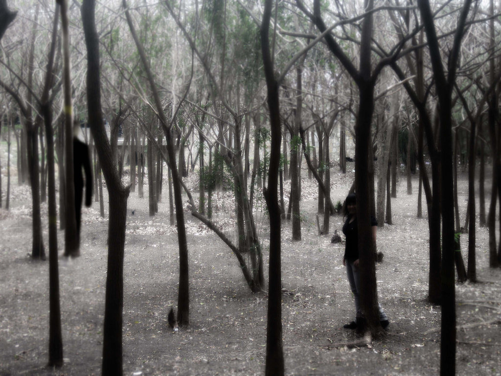 slenderman_in_the_forest_by_shizuriiku-d64y5q9.jpg