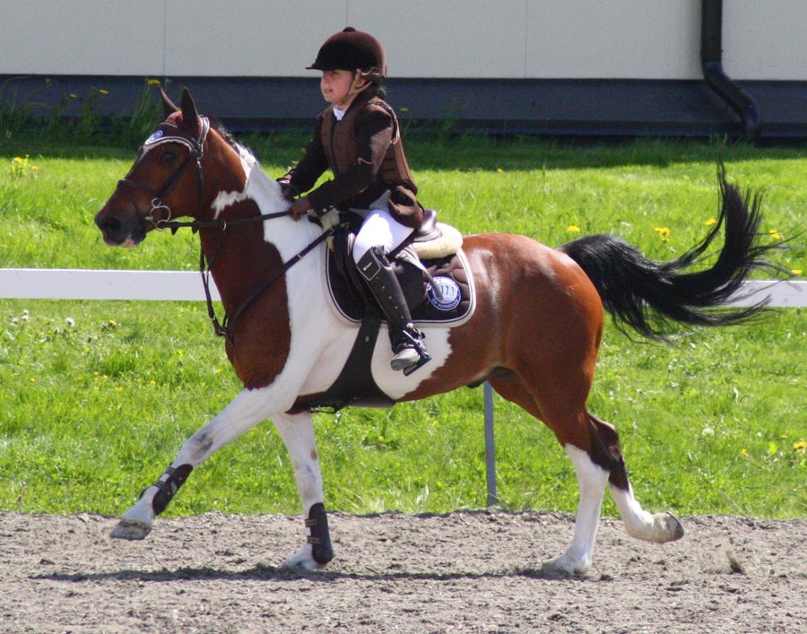 small_pony__little_girl_by_therattie-d302v2w1.jpg