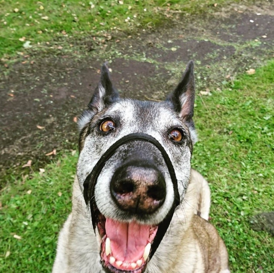 smile-4-1.jpg