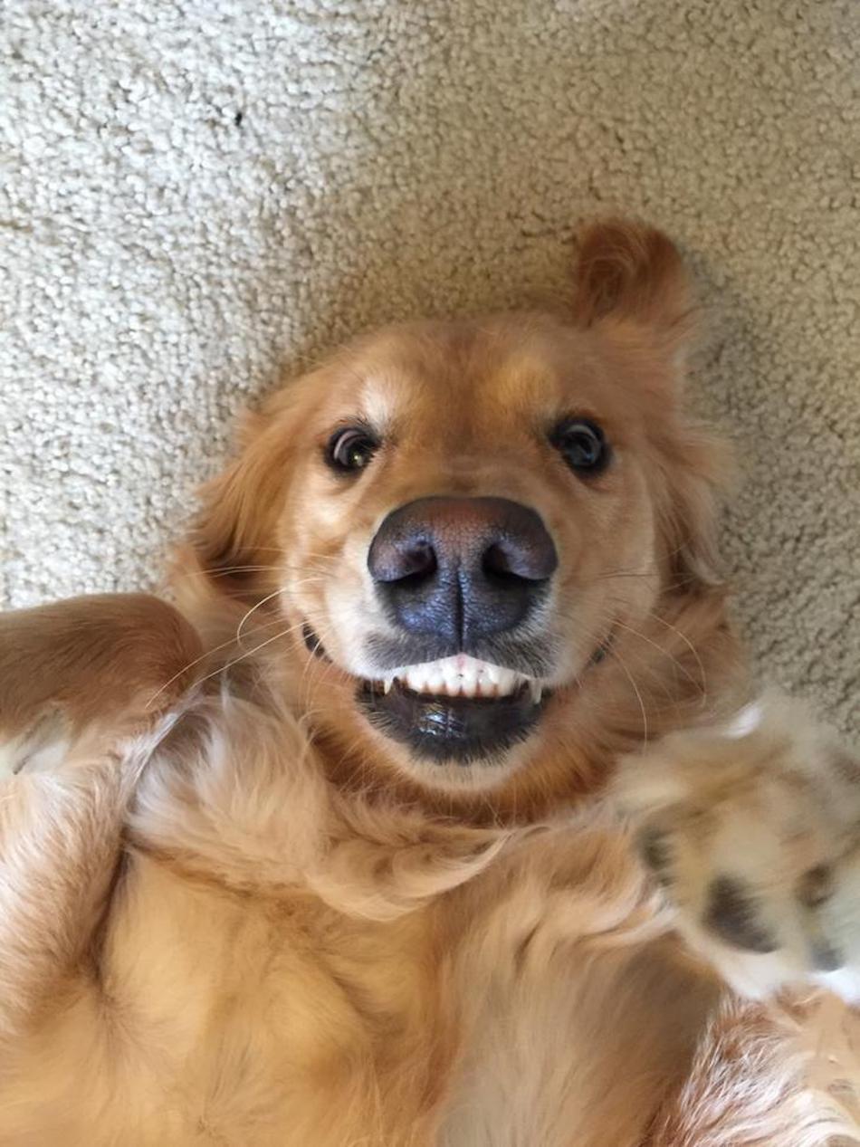 smile-5.jpg
