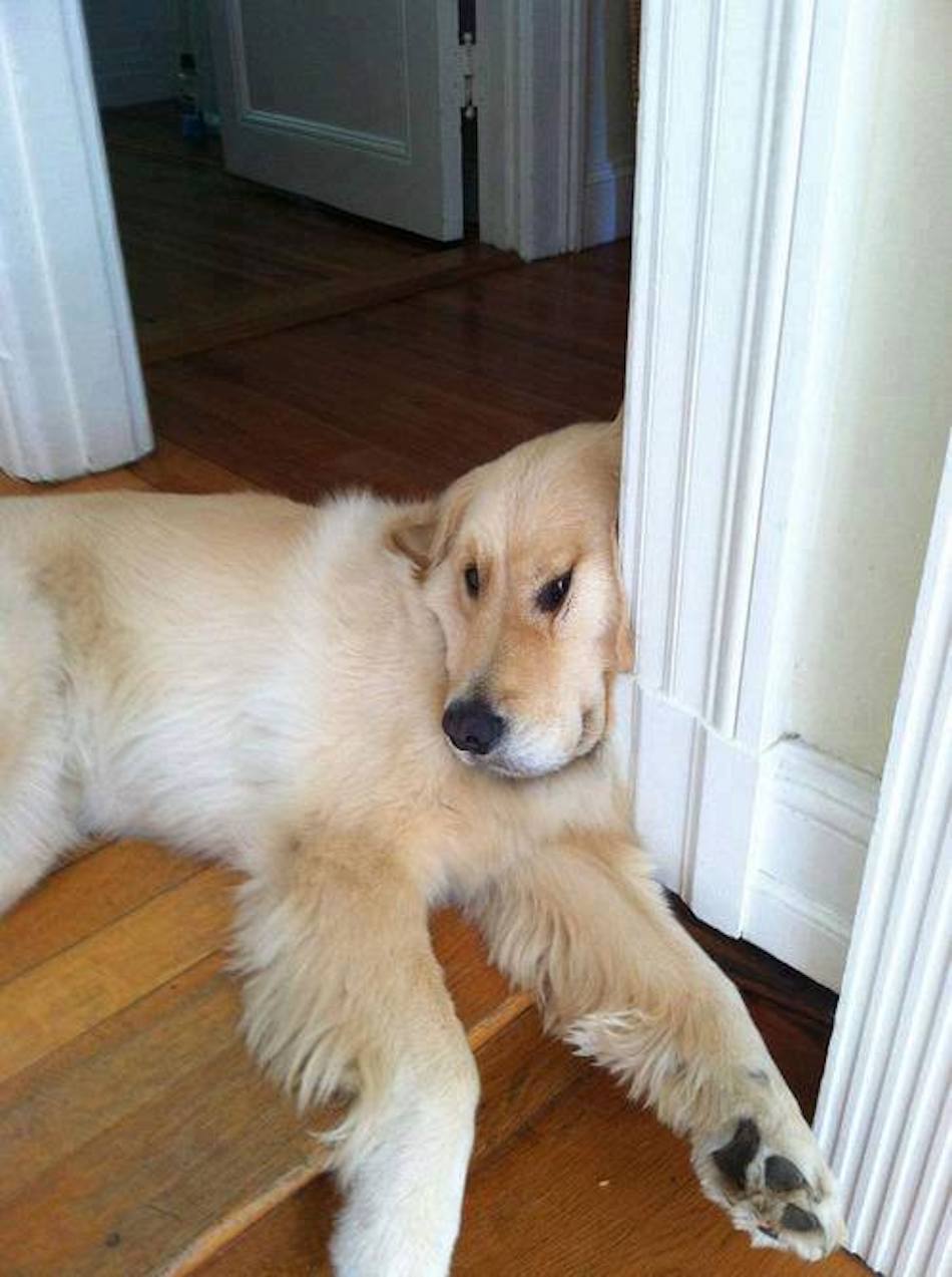 smush-1.jpg