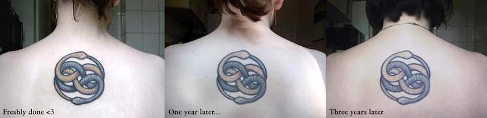 snakes.jpg