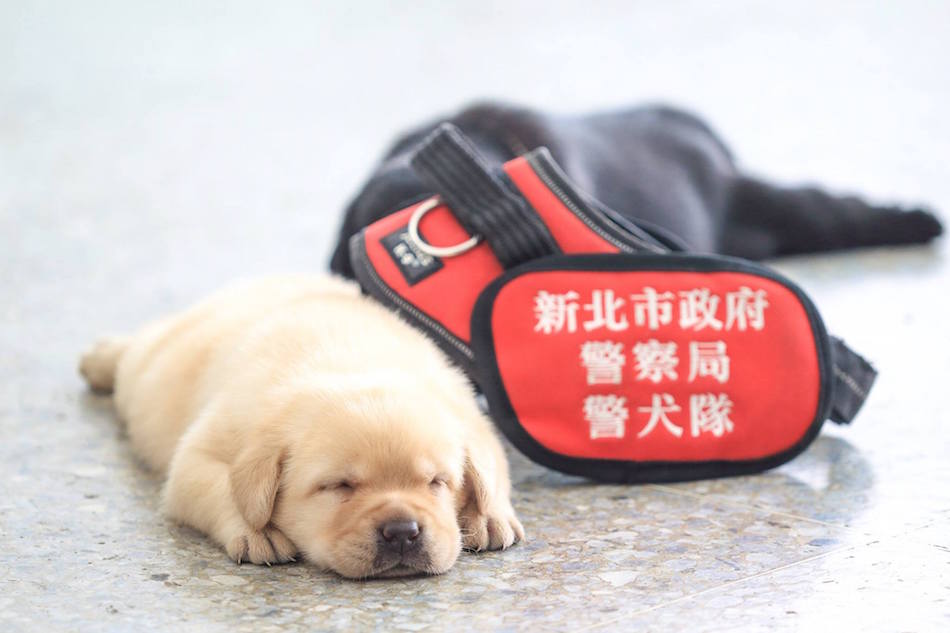 snooze.jpg