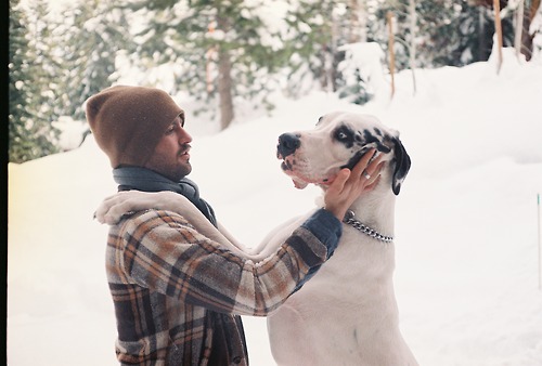 snow-9.jpg