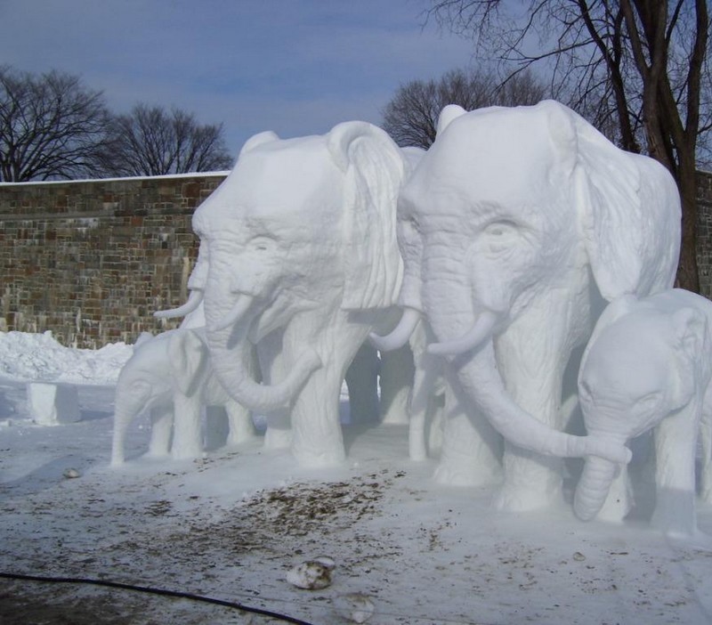 snow-animals-3.jpg