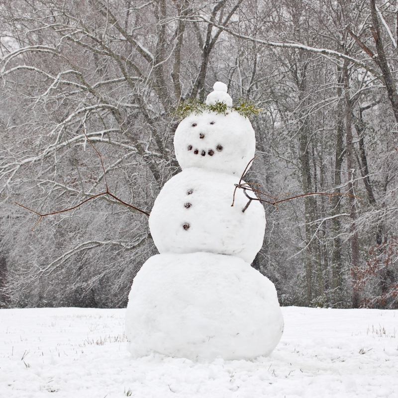 snow-day-12.jpg