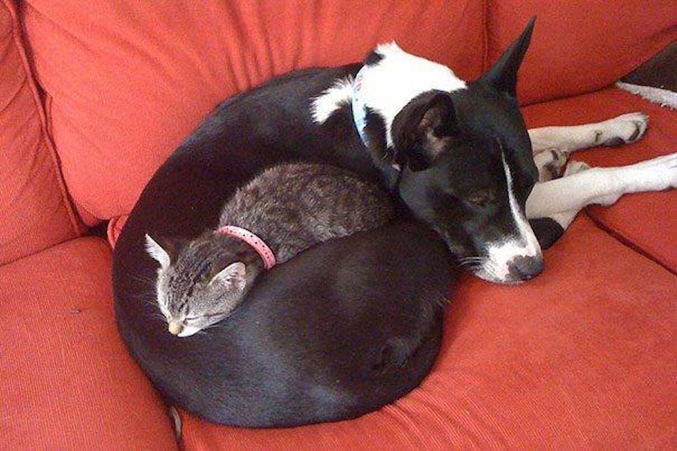 snuggle-1-1.jpg