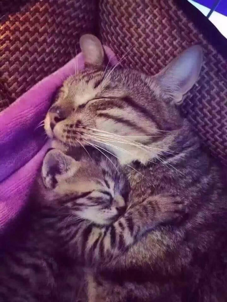 snuggle-3.jpg