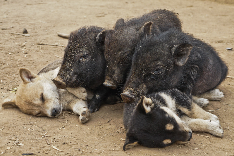 snuggle-5.jpg