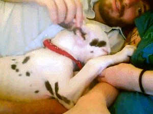 snuggle.gif