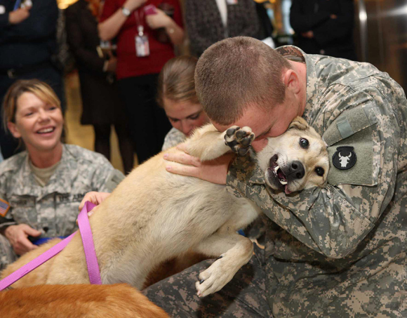 soldiers_and_dogs.jpg