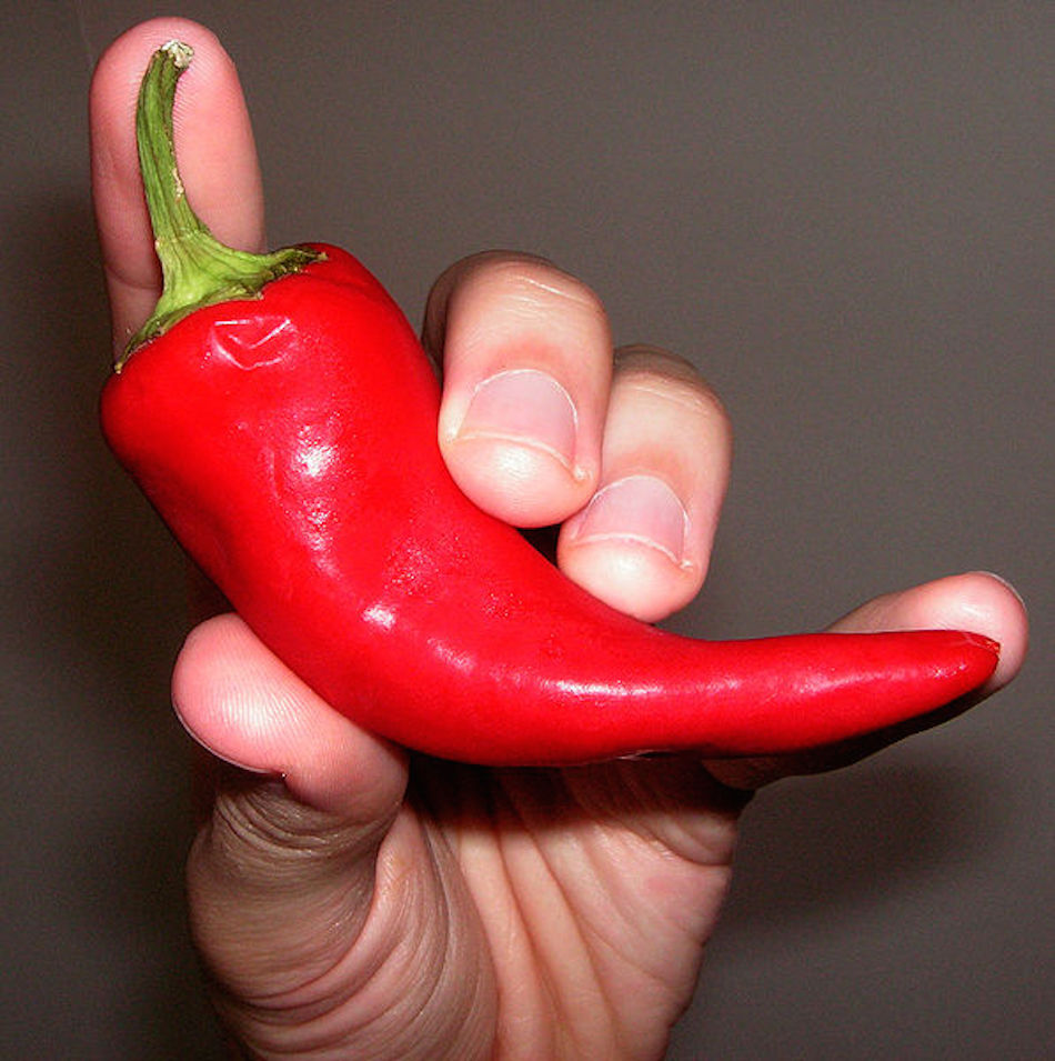 spicy-pepper.jpg