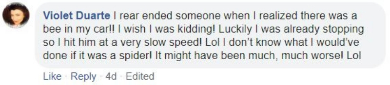 spider3.jpg
