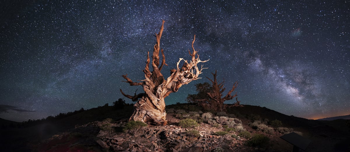 stars2.jpg stars2.jpg