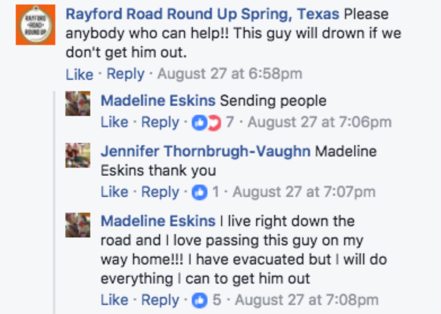 steer-facebook.jpg