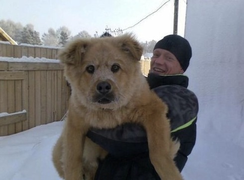 still-a-pup.jpg