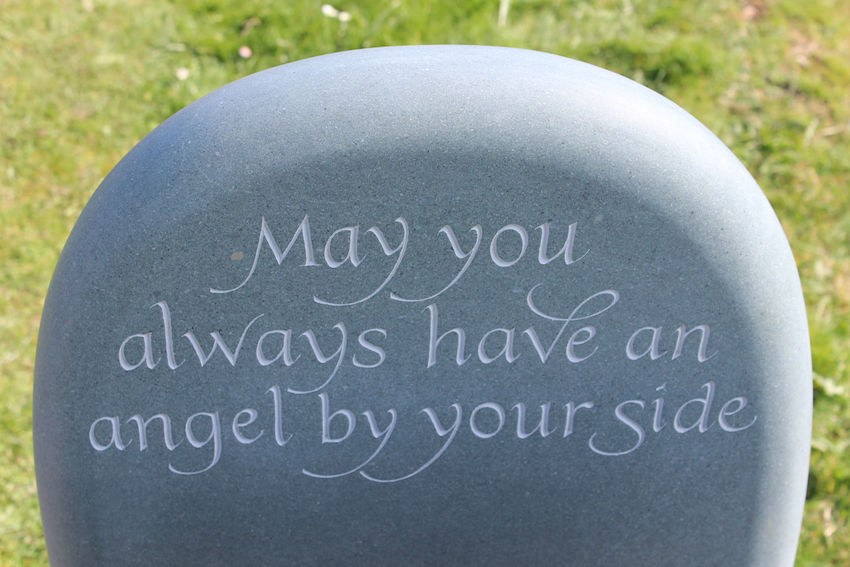 stillborn_quote.jpg