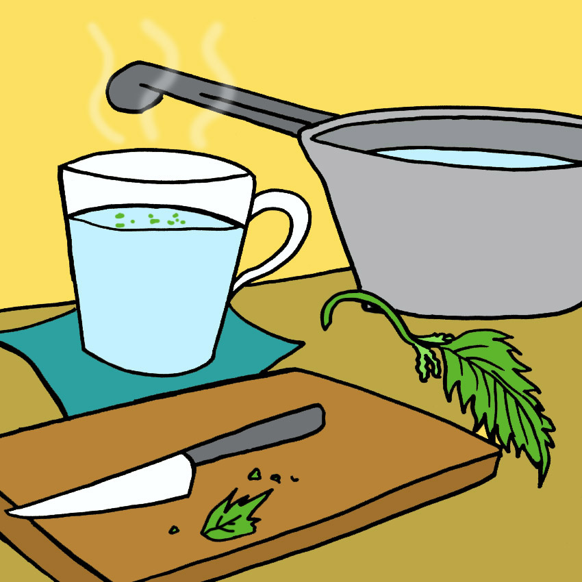 stinging-nettle-home-remedy-uti.jpg stinging-nettle-home-remedy-uti.jpg