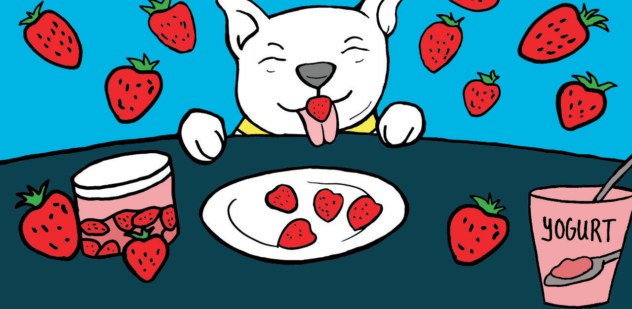 Dog Strawberries 1280