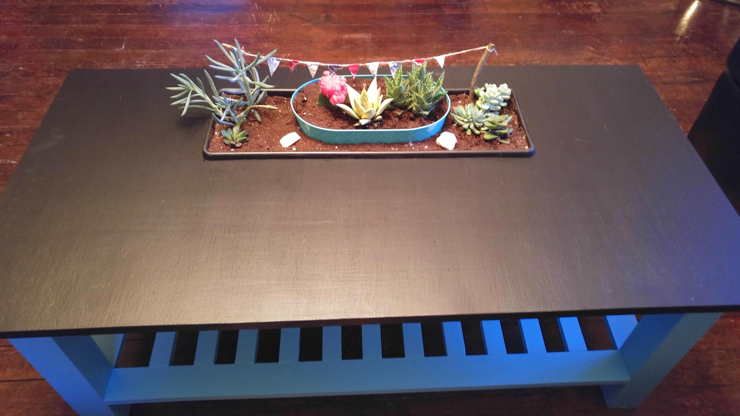 succulentcoffeetable_m.jpg