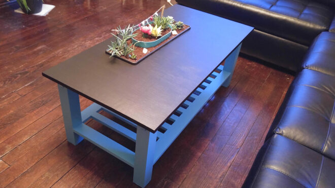 succulentcoffeetable_thumba