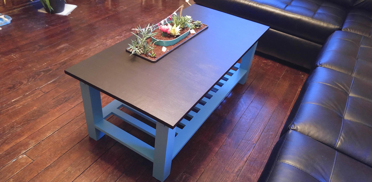 succulentcoffeetable_thumba