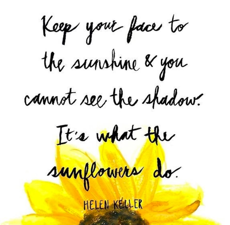 sunflowers.jpg sunflowers.jpg