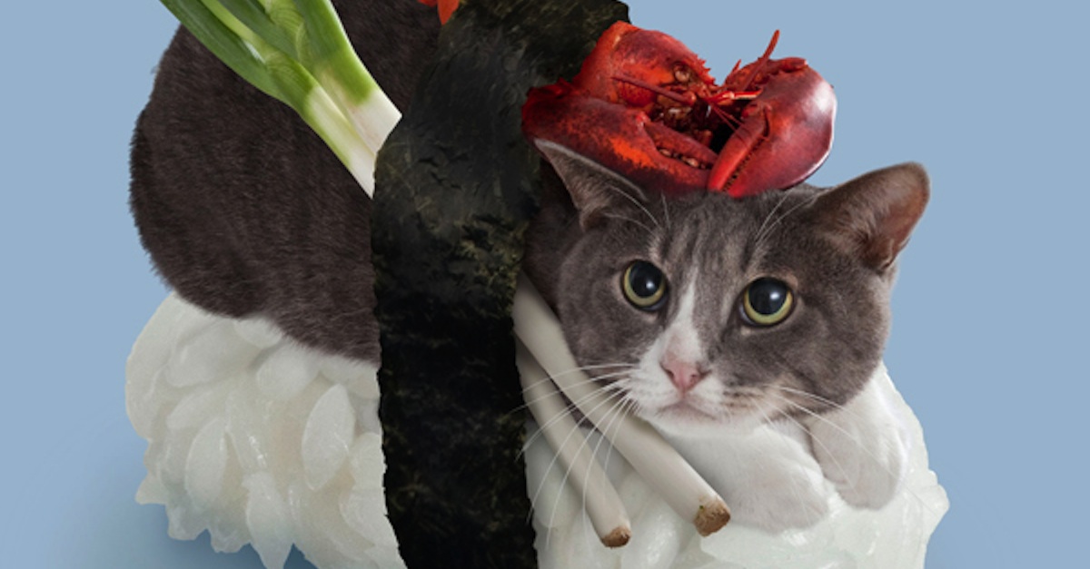 sushi header