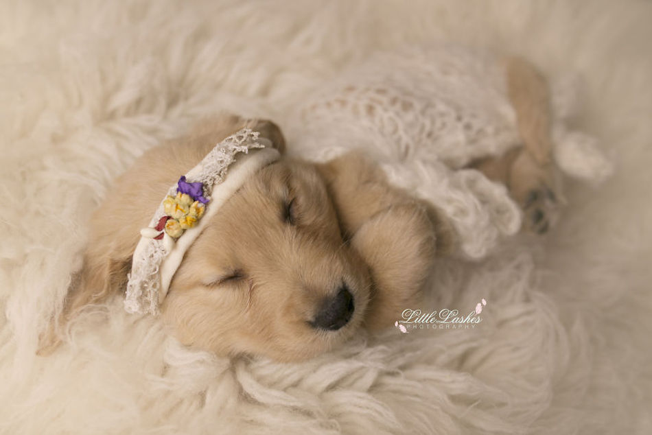 sweet-dreams.jpg
