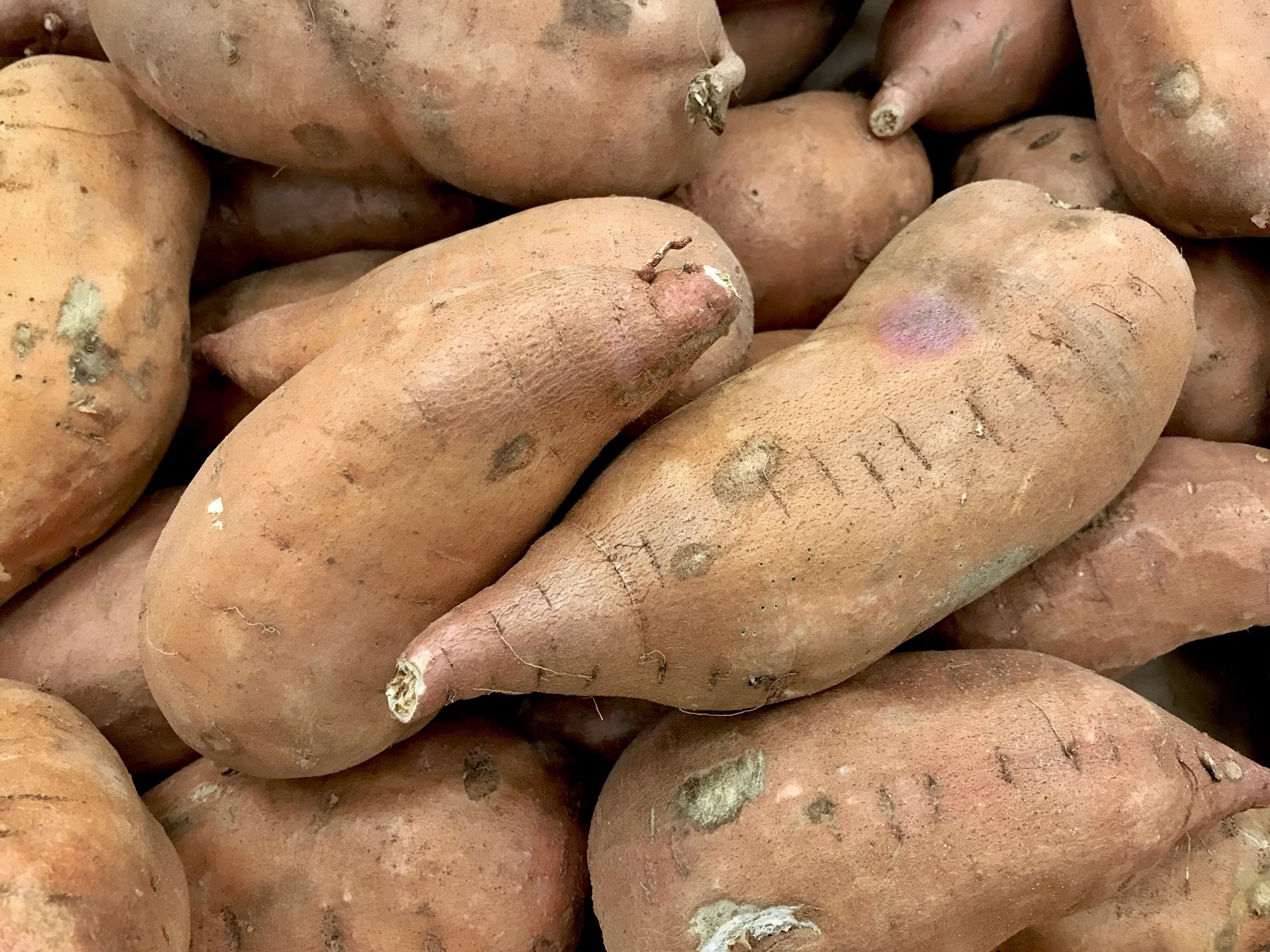 sweet-potatoes_t20_yw0nQa.jpg