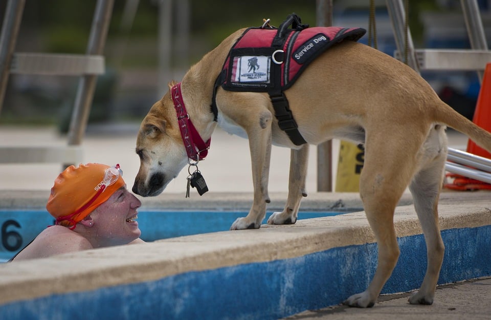swimmer-802890_960_720.jpg