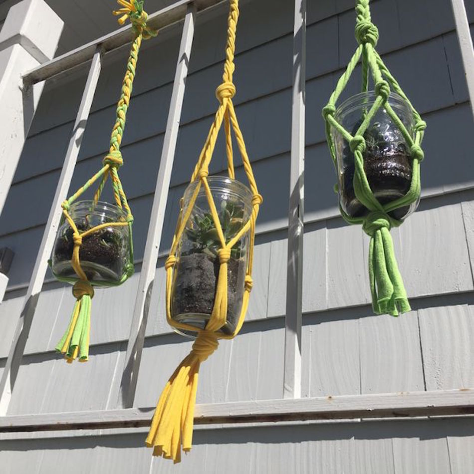 t-shirt-hanging-plants.jpg