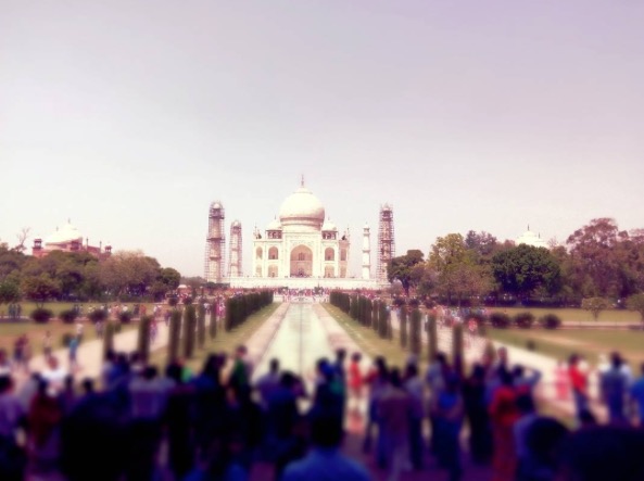 taj1.jpg