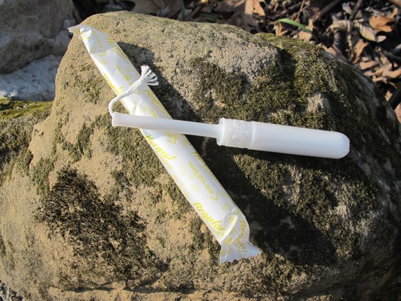 tampon-on-rock1.jpg