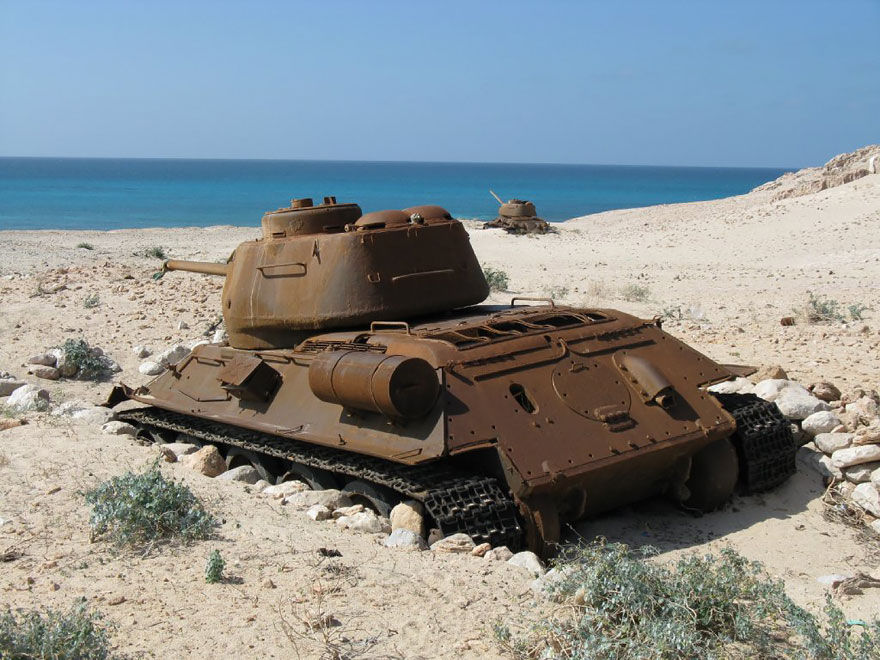 tanks-taken-over-by-nature-43__880.jpg