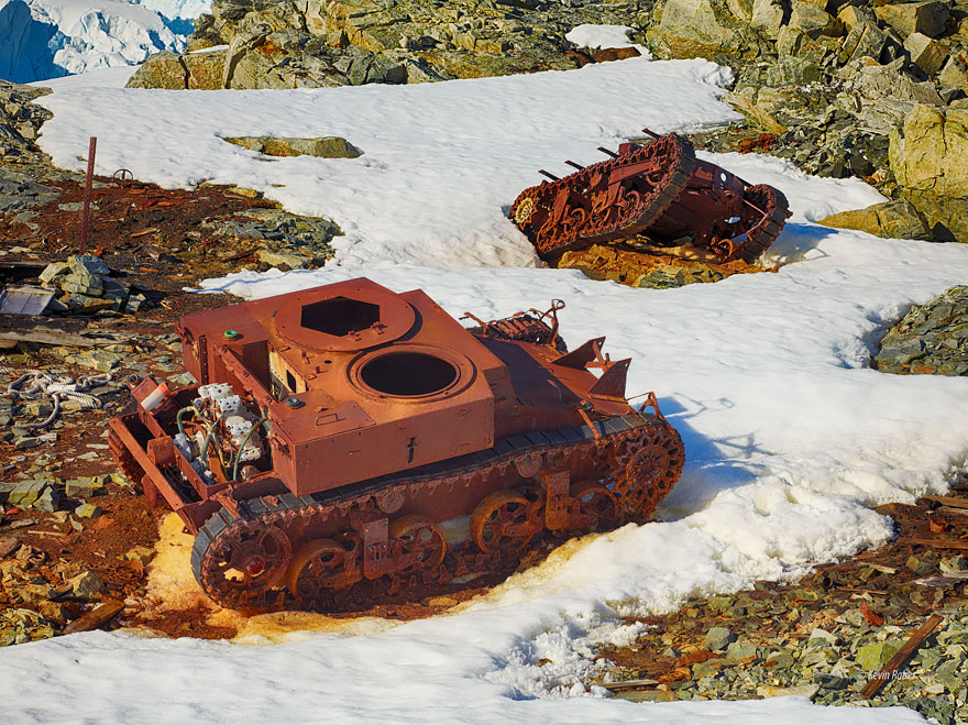 tanks-taken-over-by-nature-60__880.jpg