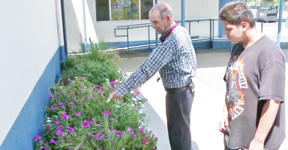 teacher plants flowers