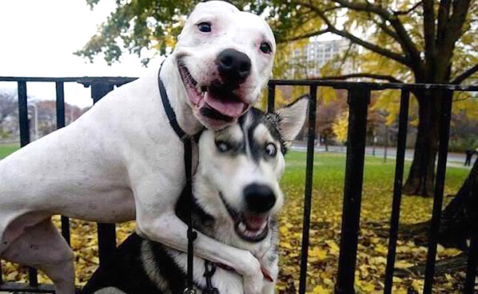 that-friend.jpg